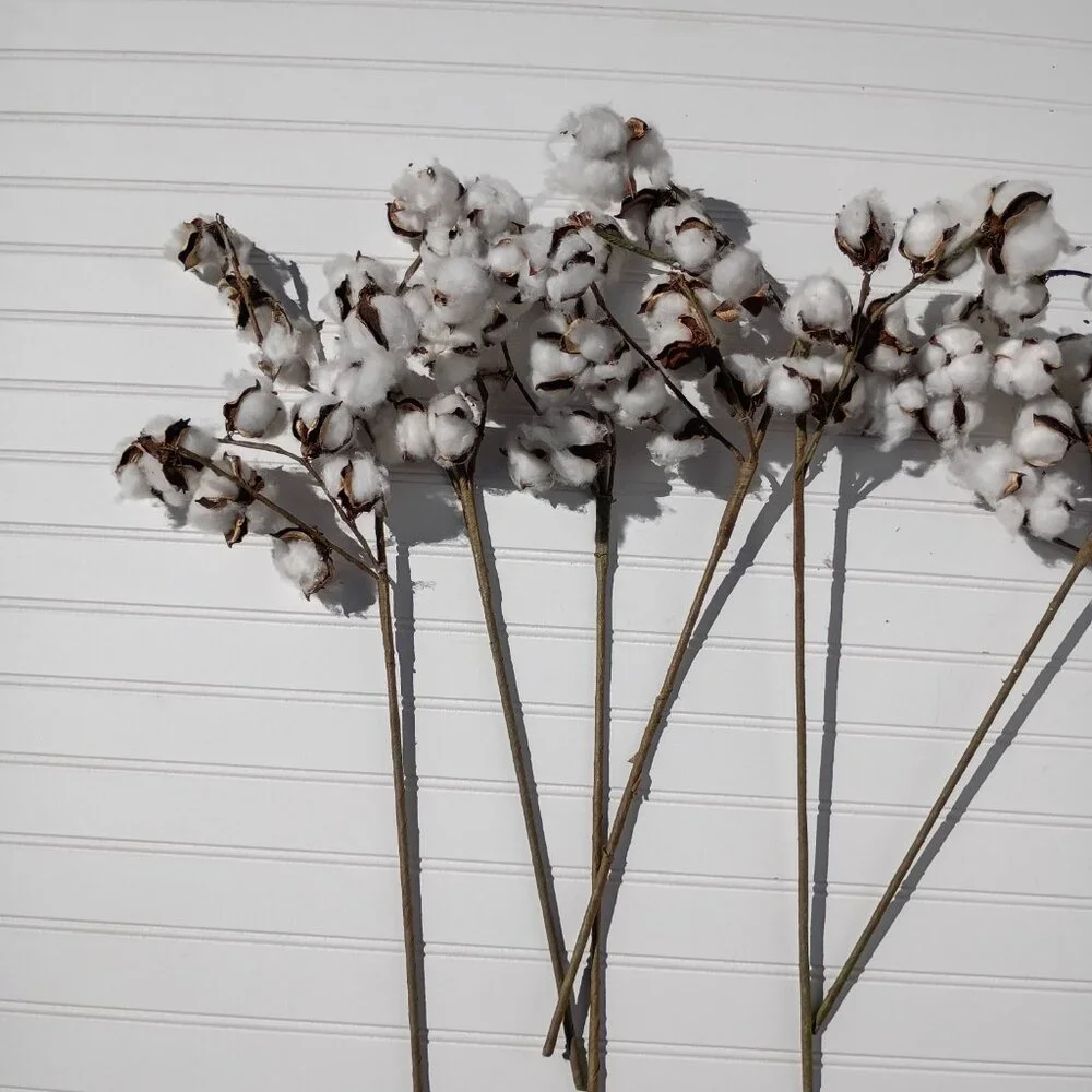 9 Pc Artificial Cotton Stems 24-26
